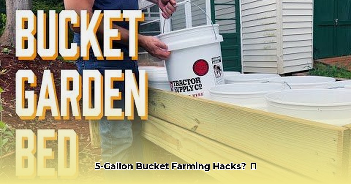 5-gallon-bucket-tractor-supply